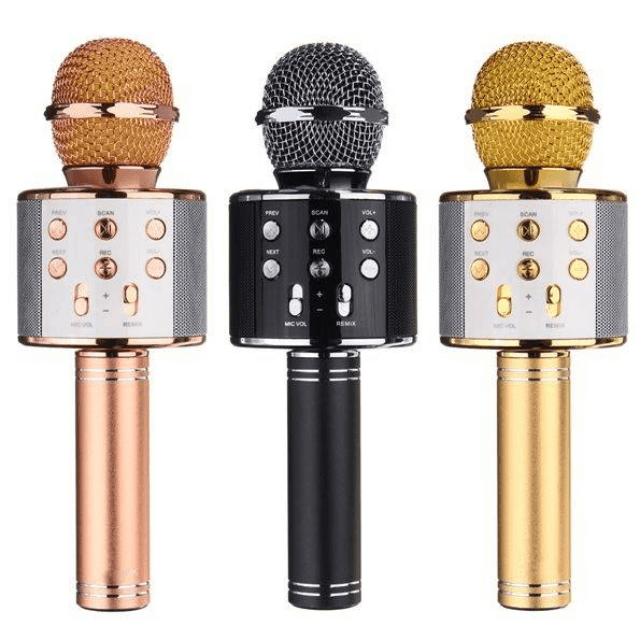 Wireless Karaoke Mic with Speaker